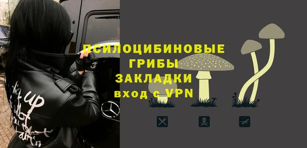 ешки Козельск
