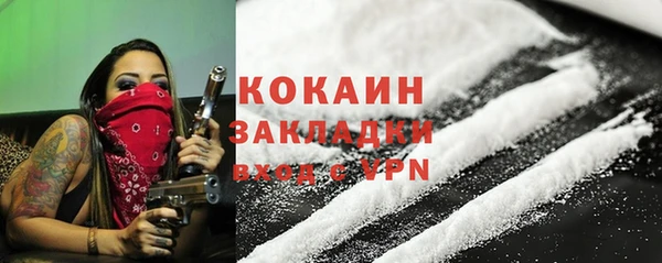 твердый Козловка