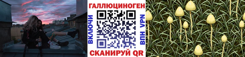 Галлюциногенные грибы мухоморы  Купить закладки  Болохово 